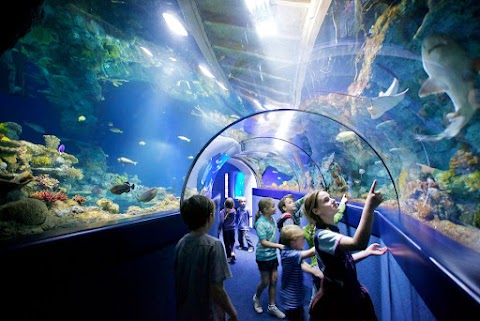 Bristol Aquarium