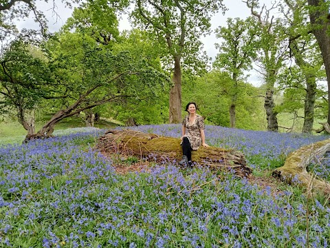 National Trust - Dinefwr