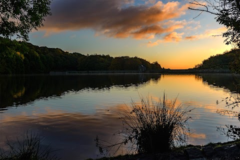 Linacre Reservoirs & Wood Car Park (Severn Trent) (Cash Only)