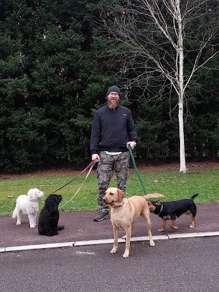 Sniffs and Giggles Dog Walking and Dog Training Services