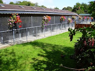 Bishopston Kennels & Kittle Cattery