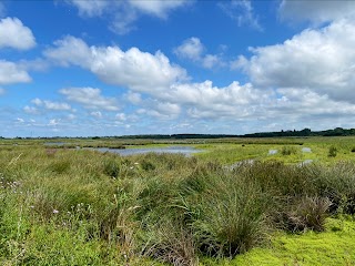 Lunt Meadows Nature Reserve