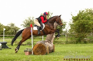 Hird and Partners - Sheffield Equine Clinic