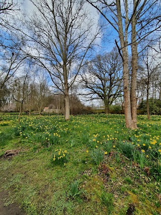 The Woodland Gardens