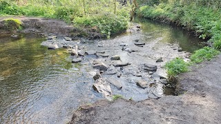 Willsbridge Mill