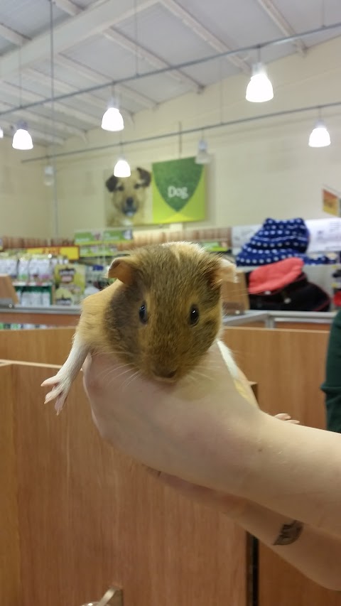 Pets at Home Kettering