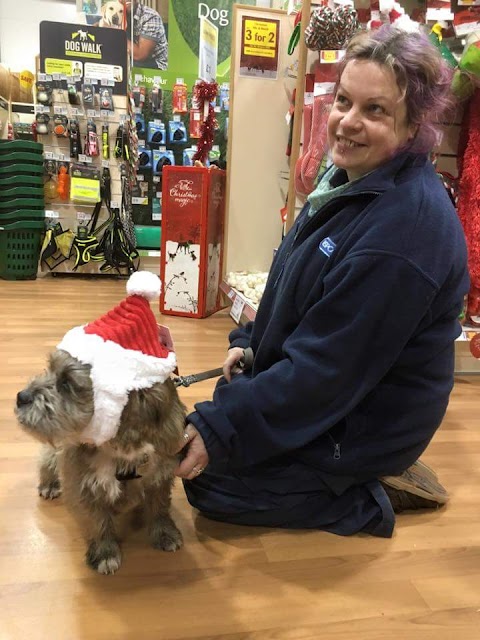 Pets at Home Clevedon