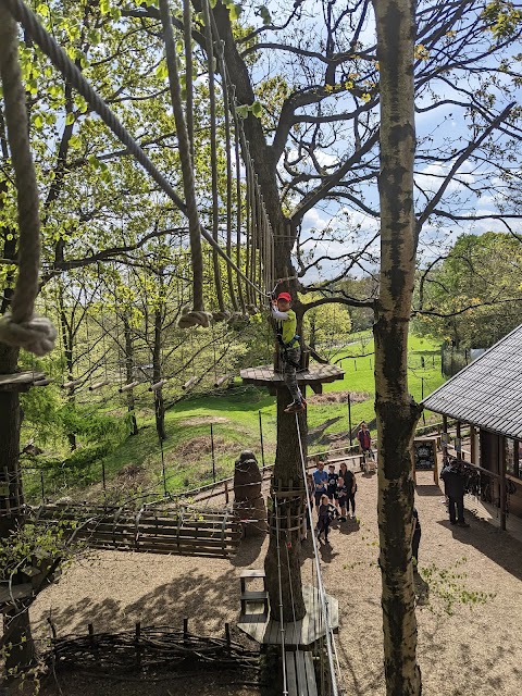 Go Ape Temple Newsam