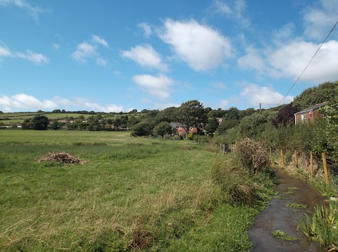 Carisbrooke Water Meadows