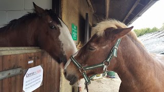 Cowley Riding School