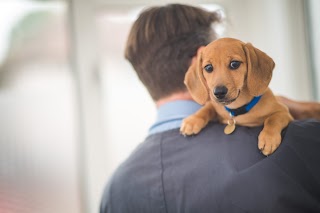 Oundle & Thrapston Veterinary Surgery