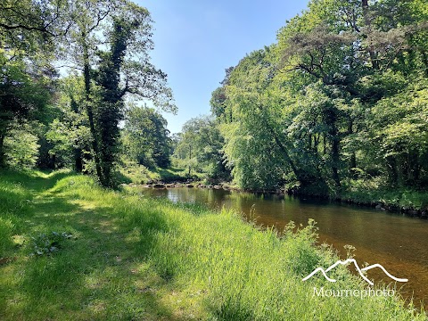 Mourne Park, Woodland Trust