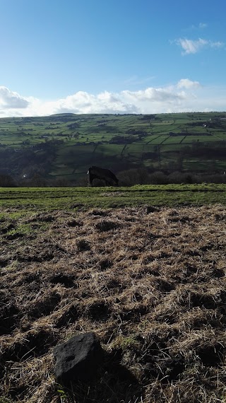 Gate Stoops Farm Kennels