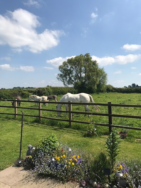 Peacock Farm The Paddock