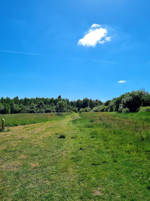 Lyme and Wood Country Park