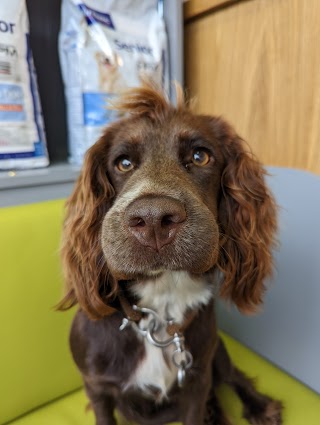 Hawthorn Veterinary Surgery