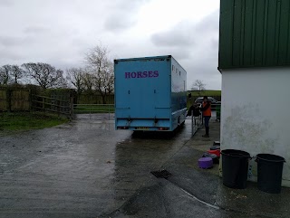 Dyffryn Tywi Equine Clinic