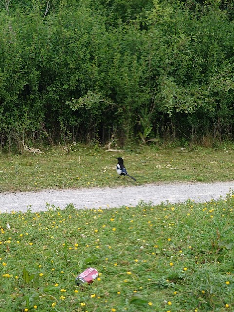 Fordyke Nature Reserve