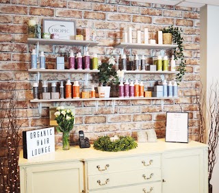 The Organic Hair Lounge