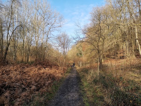 Warburg Nature Reserve Berkshire, Buckinghamshire and Oxfordshire Wildlife Trust