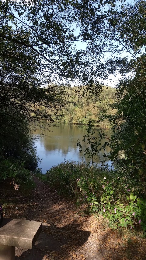 Clifton Country Park Cafe