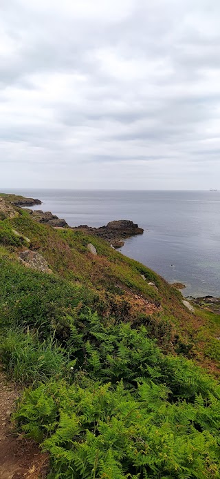 Howth-Boats