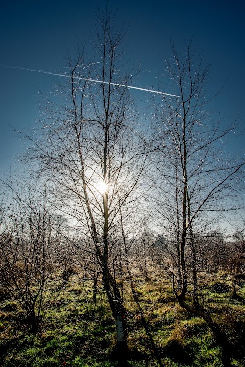 Rook's Nest Wood Country Park