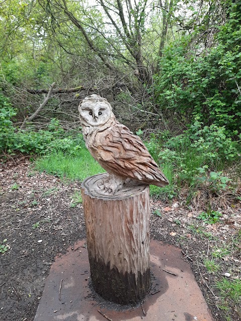 Blashford Lakes Nature Reserve