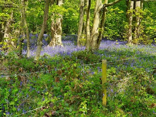 Aqualate Mere National Nature Reserve Car Park