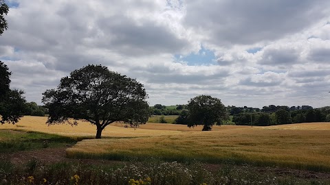 Whitchurch Waterways Country Park