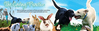 Vetcare Ltd Leigh