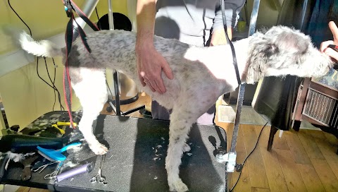 Top Dog Groomers