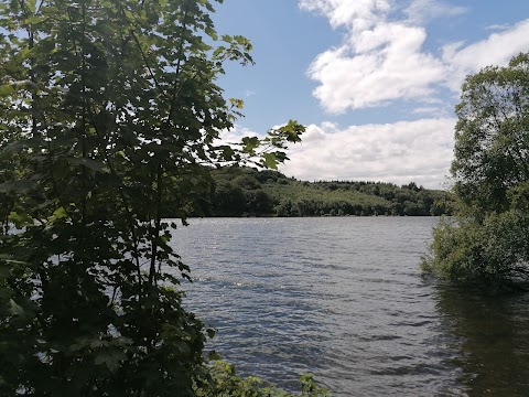 Castlewellan Forest Park