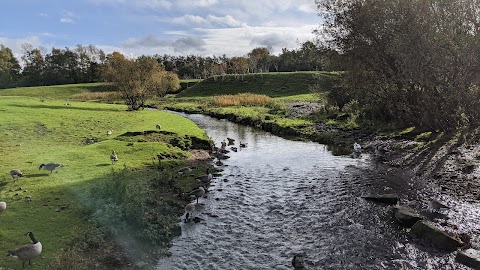 Lancaster Park & Animal Farm