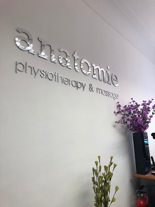 Anatomie Physiotherapy