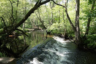 Rivelin Valley