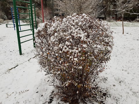 Сквер, детская площадка