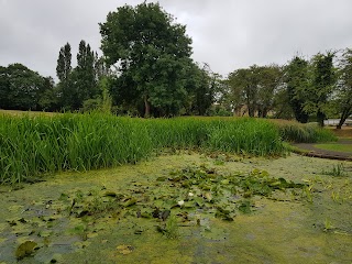 Swan Lane Open Space