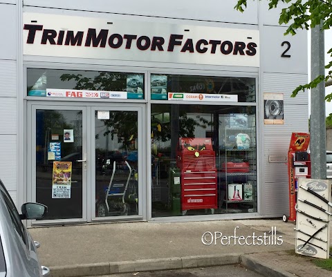 Trim Motor Factors
