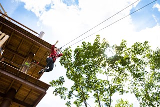 Go Ape Battersea