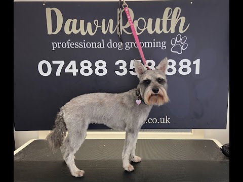 Dawn Routh Professional Dog Grooming