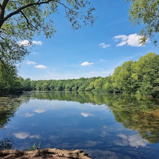 Belhus Woods Country Park Visitor Centre