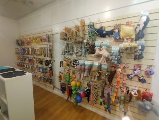 Furbies Pet Supplies Antrim