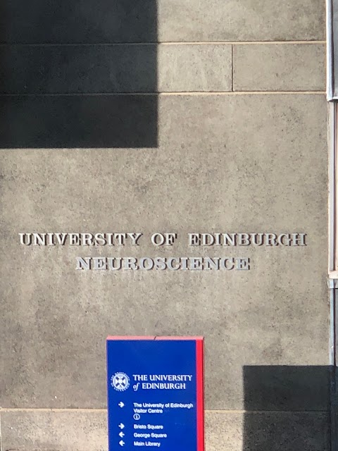 University Of Edinburgh Neuroscience