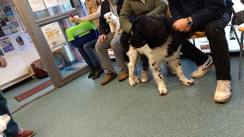 St. David Veterinary Centre, Pentwyn