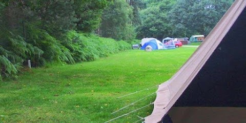 Cannock Chase Camping & Caravanning Club Site