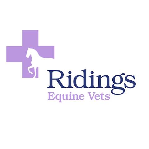 Ridings Equine Vets