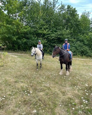 Derbyshire Pony Trekking