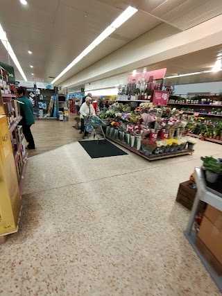 Morrisons