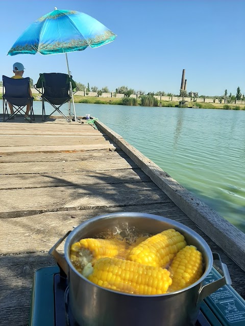 Ставок Рыбокомбинат